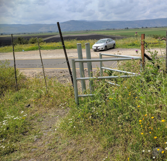 עין דבשה שער הכניסה
