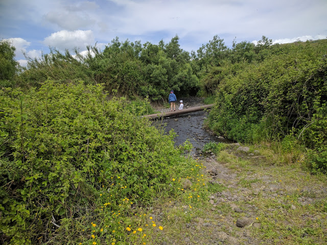 עין דבשה תחילת המסלול