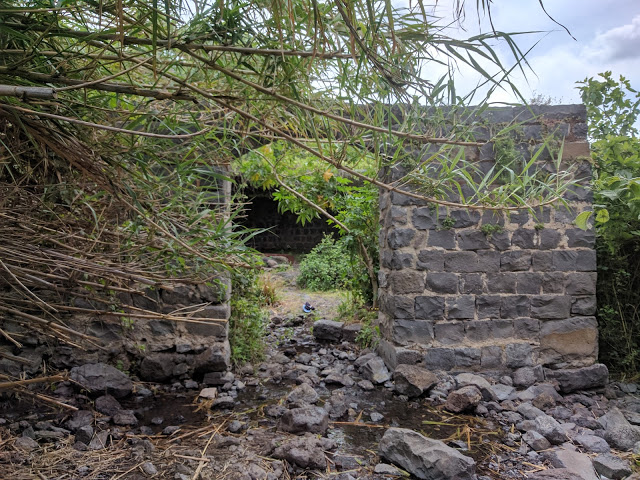 עין דבשה מבנה טינת חקמח