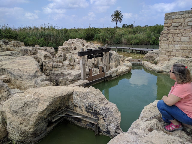 אמות המיים בנחל תנינים