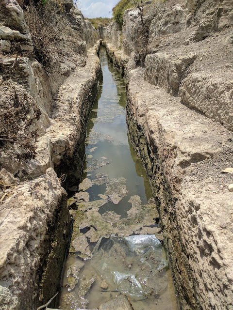 נחל תנינים אמת המים