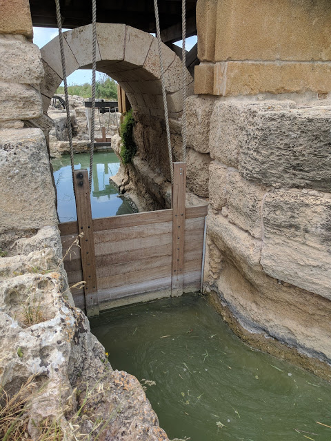 הסכר בנחל תנינים