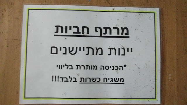 מרתף חביות היין