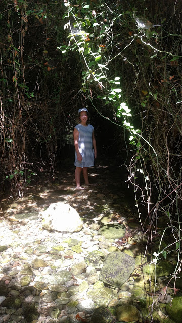 עין חרדלית נחל כזיב