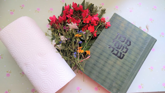 ייבוש פרחים איסוף פרחים לייבוש