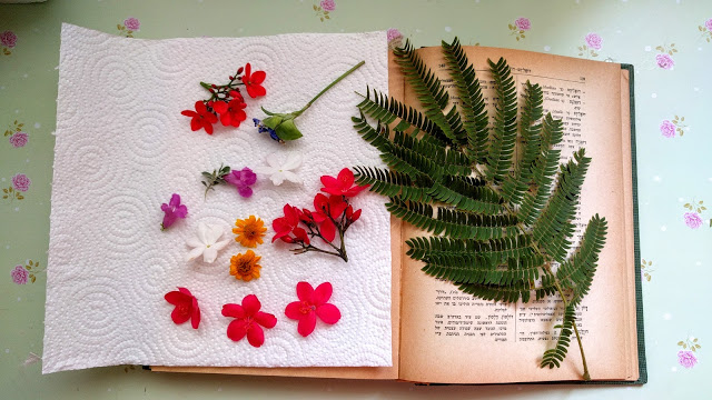 בתוך ספר עם נייר מגבת