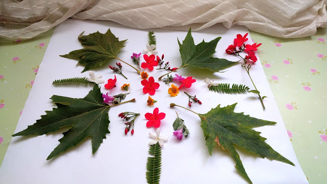 ייבוש פרחים על נייר סופג