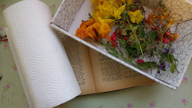 ייבוש פרחים בתוך ספר ישן