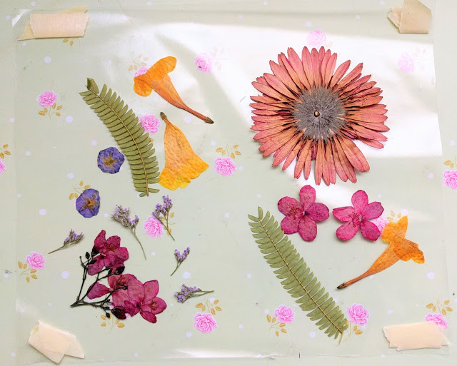 פרחים מיובשים רעיונות ליצירה