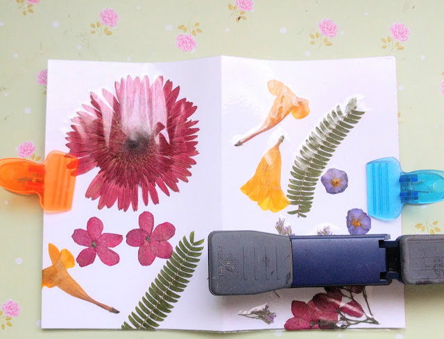 פרחים מיובשים רעיונות ליצירה