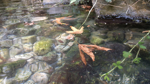 21 דברים שלא ידעתם עלי!