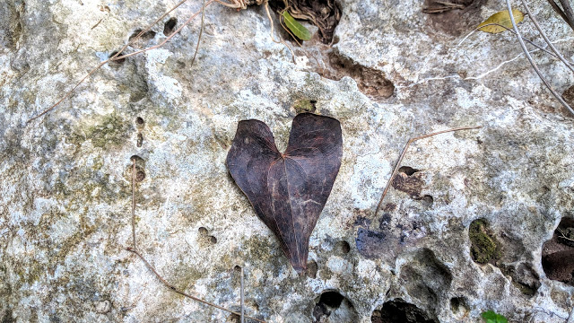 אהבה עצמית אפילו הטבע שולח סימנים לאהבה עצמית