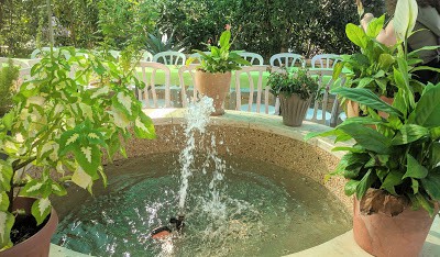 חסר מאפיין alt לתמונה הזו; שם הקובץ הוא חורפיש8.jpg