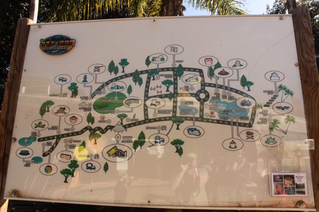 חמת גדר טיול בקטנה