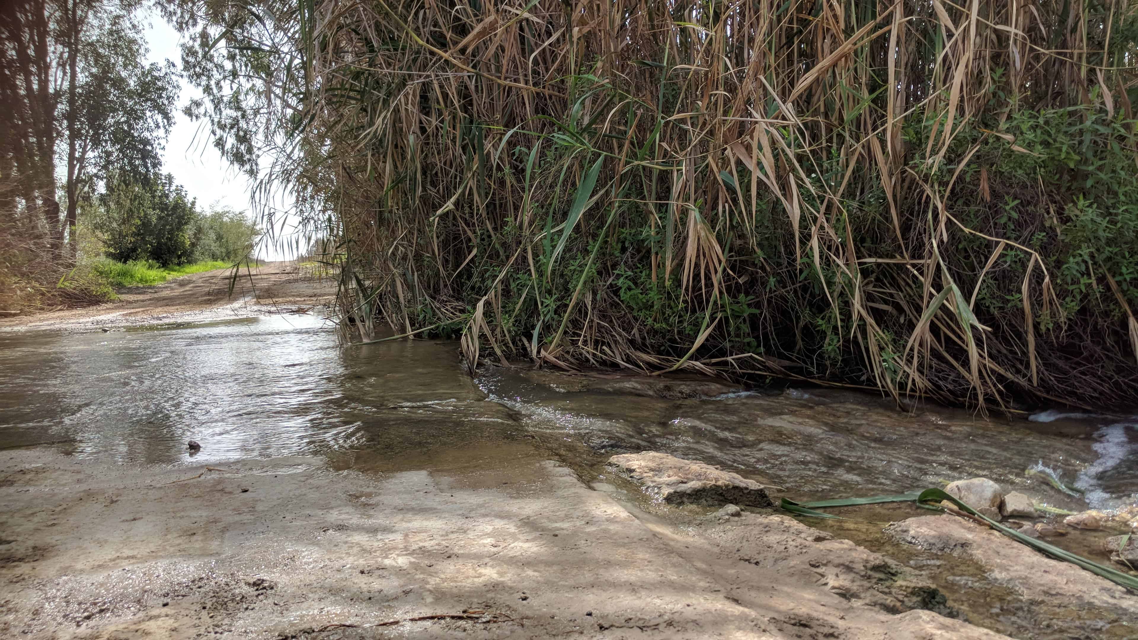 פסטיבל ירוק ולא רחוק בשפלת יהודה