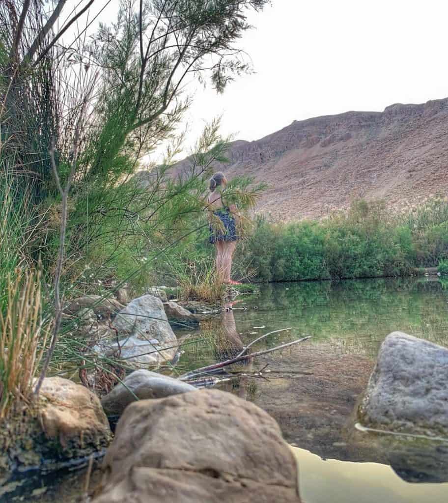 עיינות צוקים ים המלח