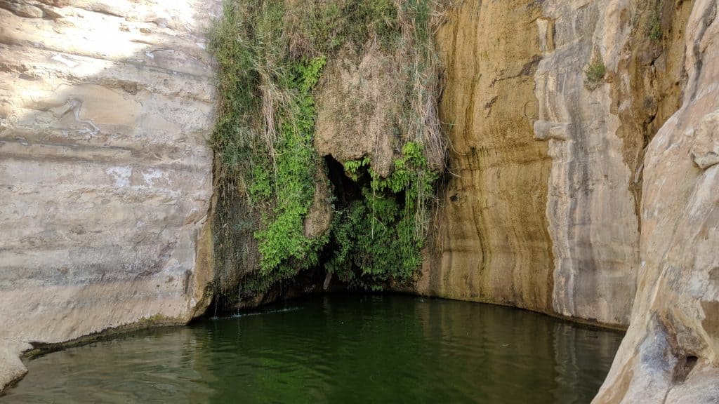 הר הנגב עין עקב