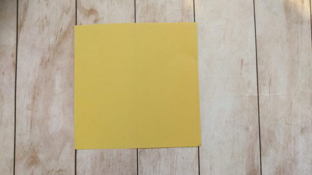 תולעת משחק בחמש דקות