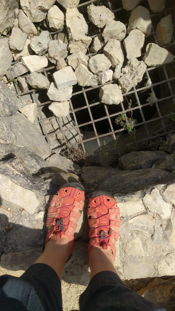 יער חורשים בור מים