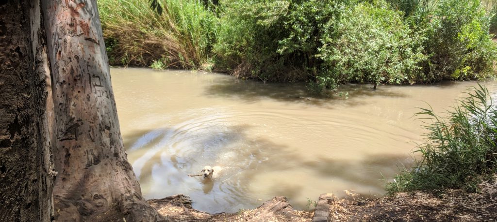 נחל הירקון העליון