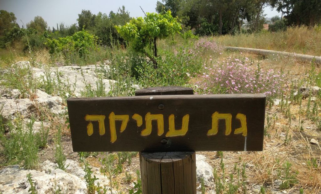 דרך היין בשרון גת עתיקה ביער חורשים