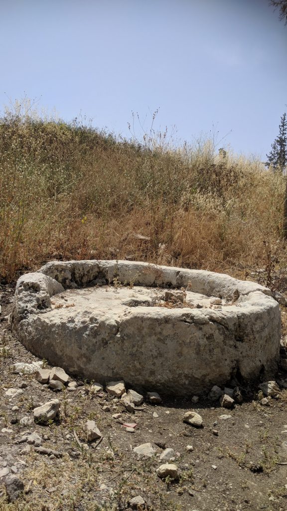 יער חורשים גלגל הים של בית בד עתיק
