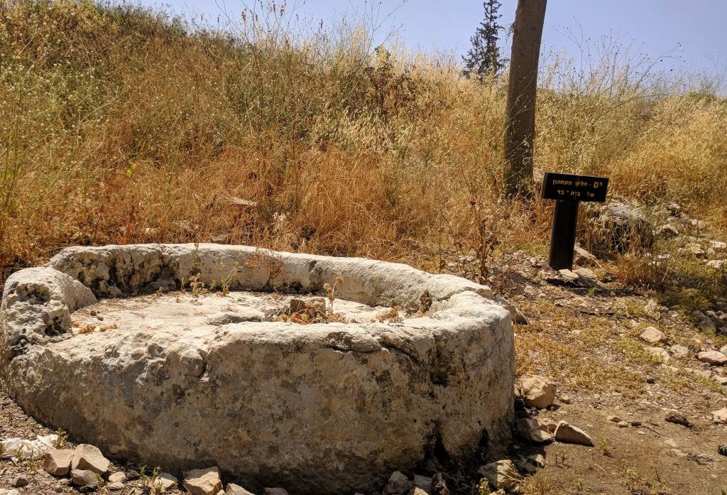 יער חורשים גלגל הים של בית בד עתיק