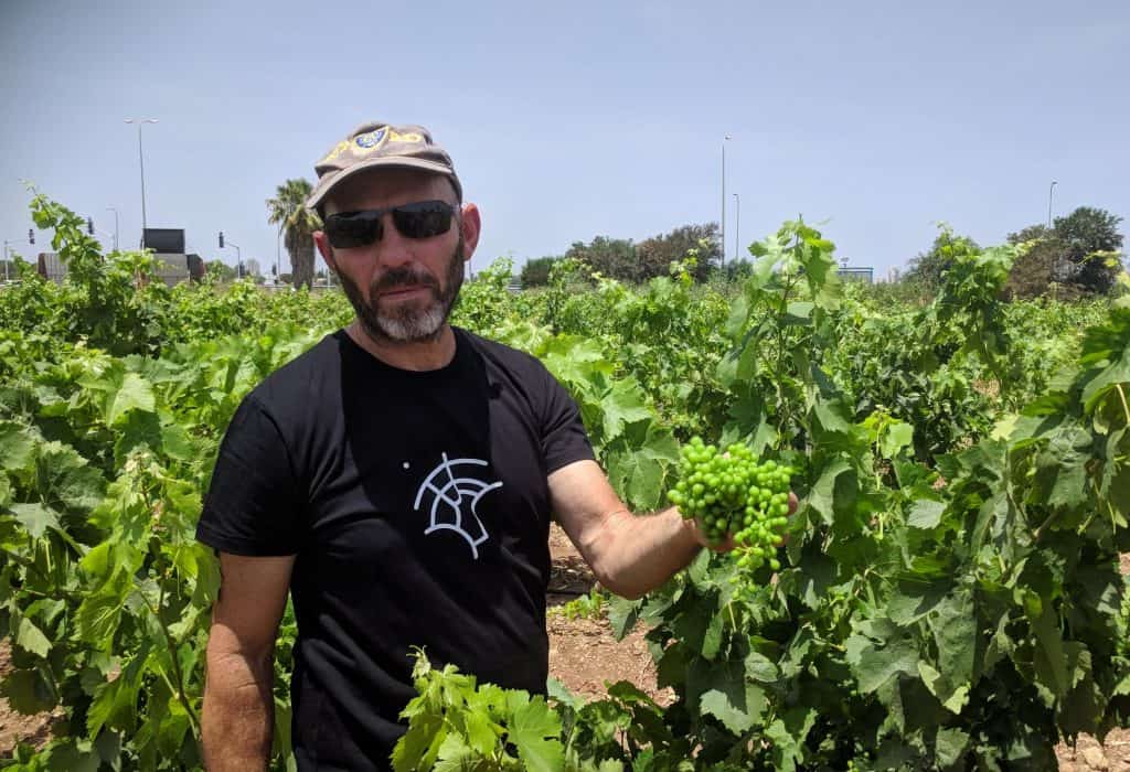 דרך היין בשרון ט"ן באב