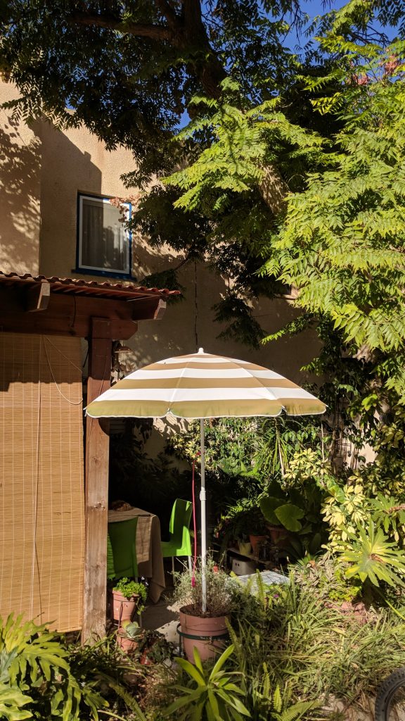 מה לעשות שדה בוקר - על כביש 40