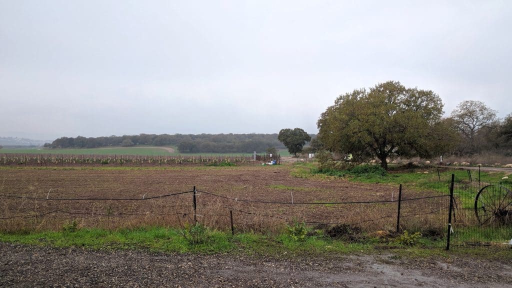 מה עושים בעמק יזרעאל - קטופאותי