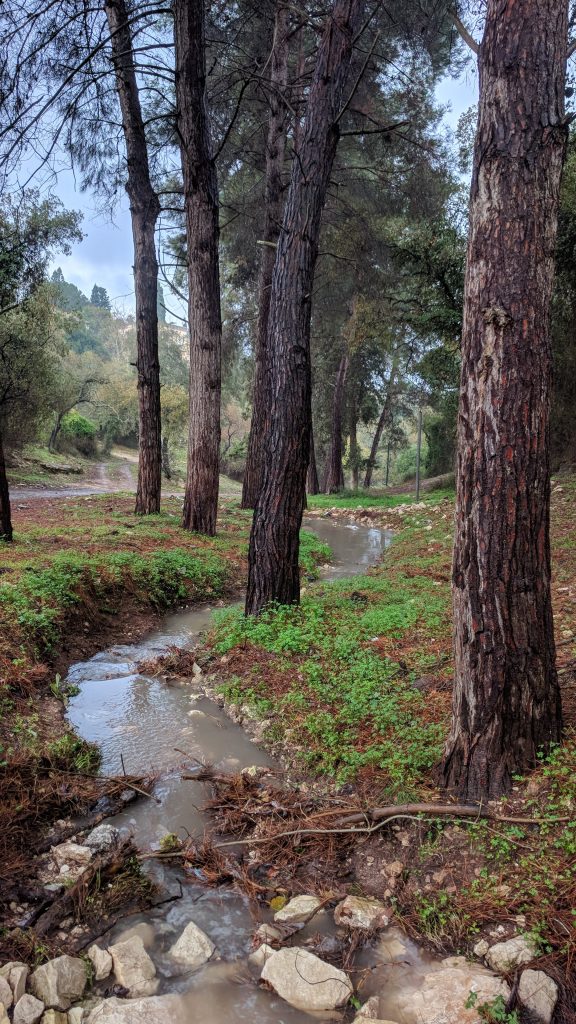 מה עושים בעמק יזרעאל - דרך הטמפלרים