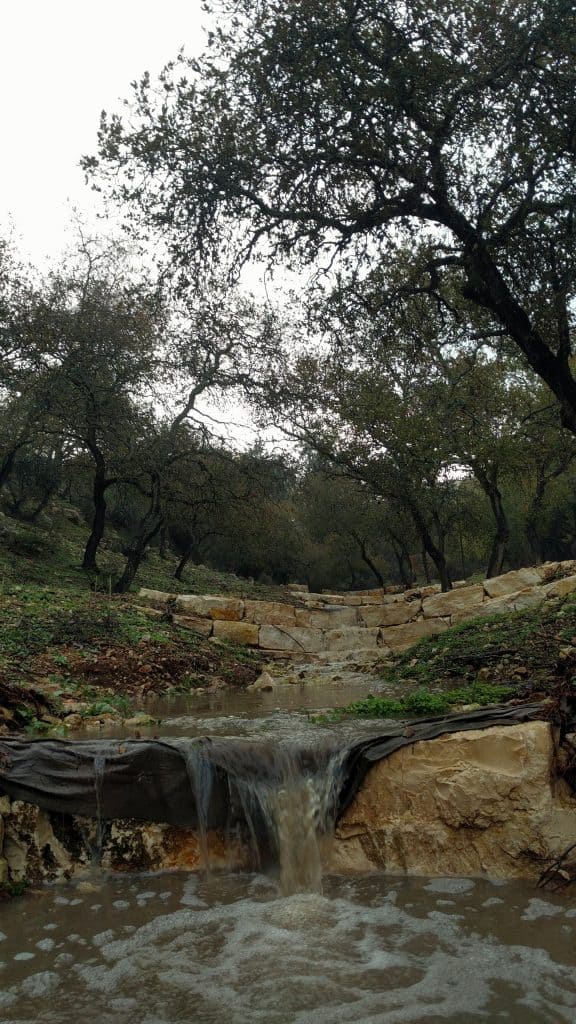 מה עושים בעמק יזרעאל דרך הטמפלרים