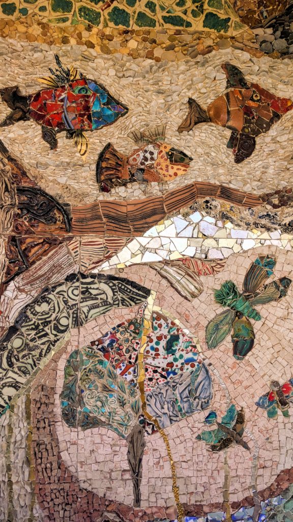 אשקלון הכוכבת של הדרום