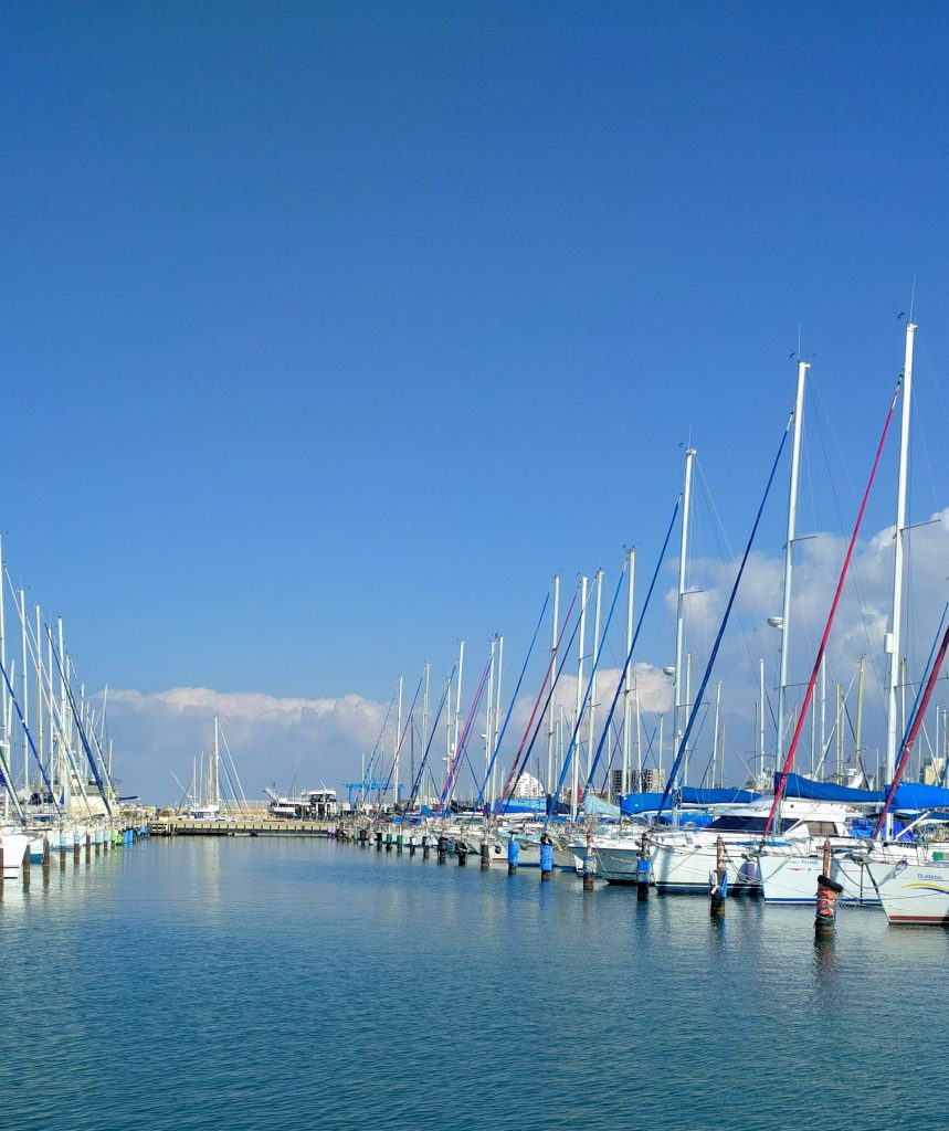 אשקלון הכוכבת של הדרום