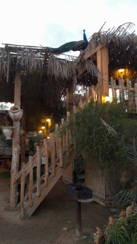 כפר הנוקדים פינת הזולה