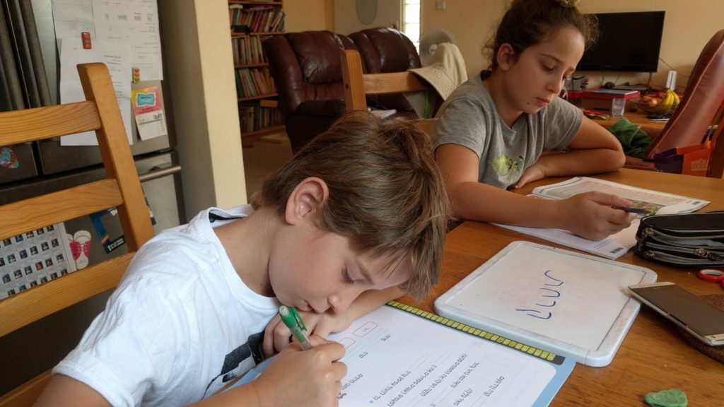 למידה מקוונת