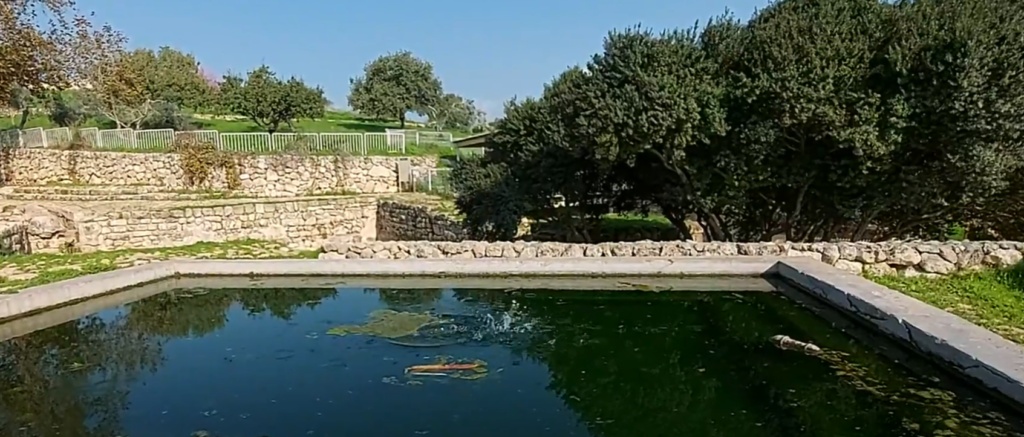 עין צור הברכה הגדולה