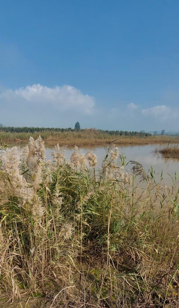 אטרקציות בעמק יזרעאל נחל בית לחם