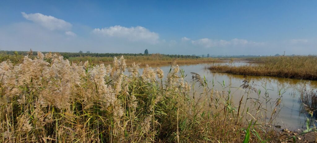 אטרקציות בעמק יזרעאל נחל בית לחם