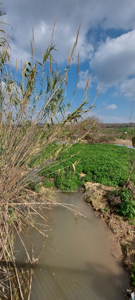 אטרקציות בעמק יזרעאל טיול בנחל ציפורי