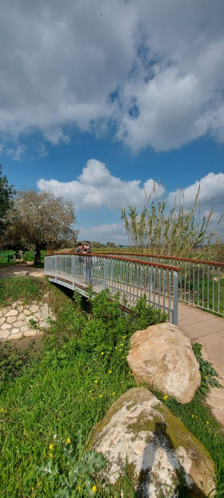 אטרקציות בעמק יזרעאל טיול בנחל ציפורי